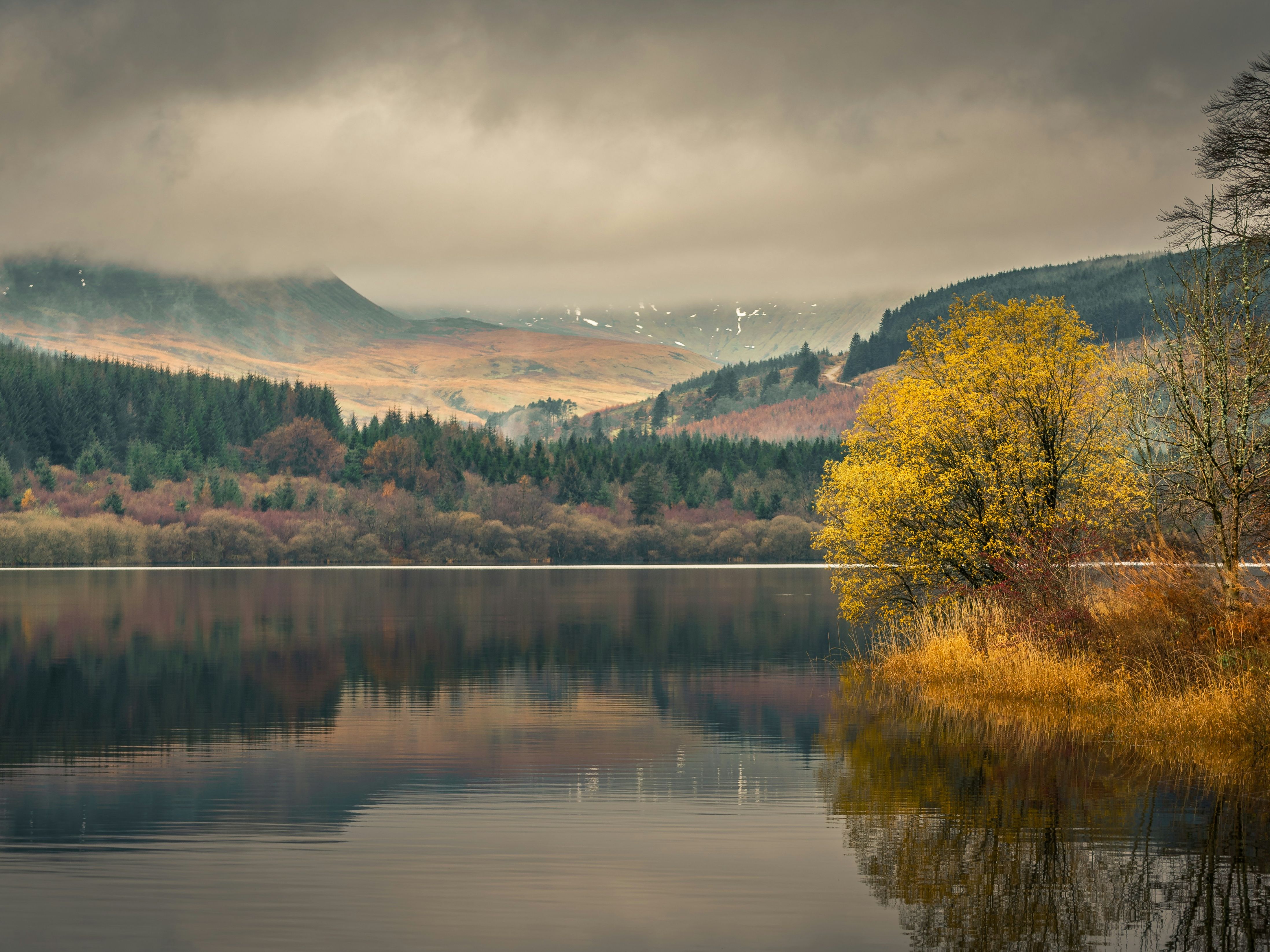 carl-jorgensen-siXZLJCa4f0-unsplash (1)