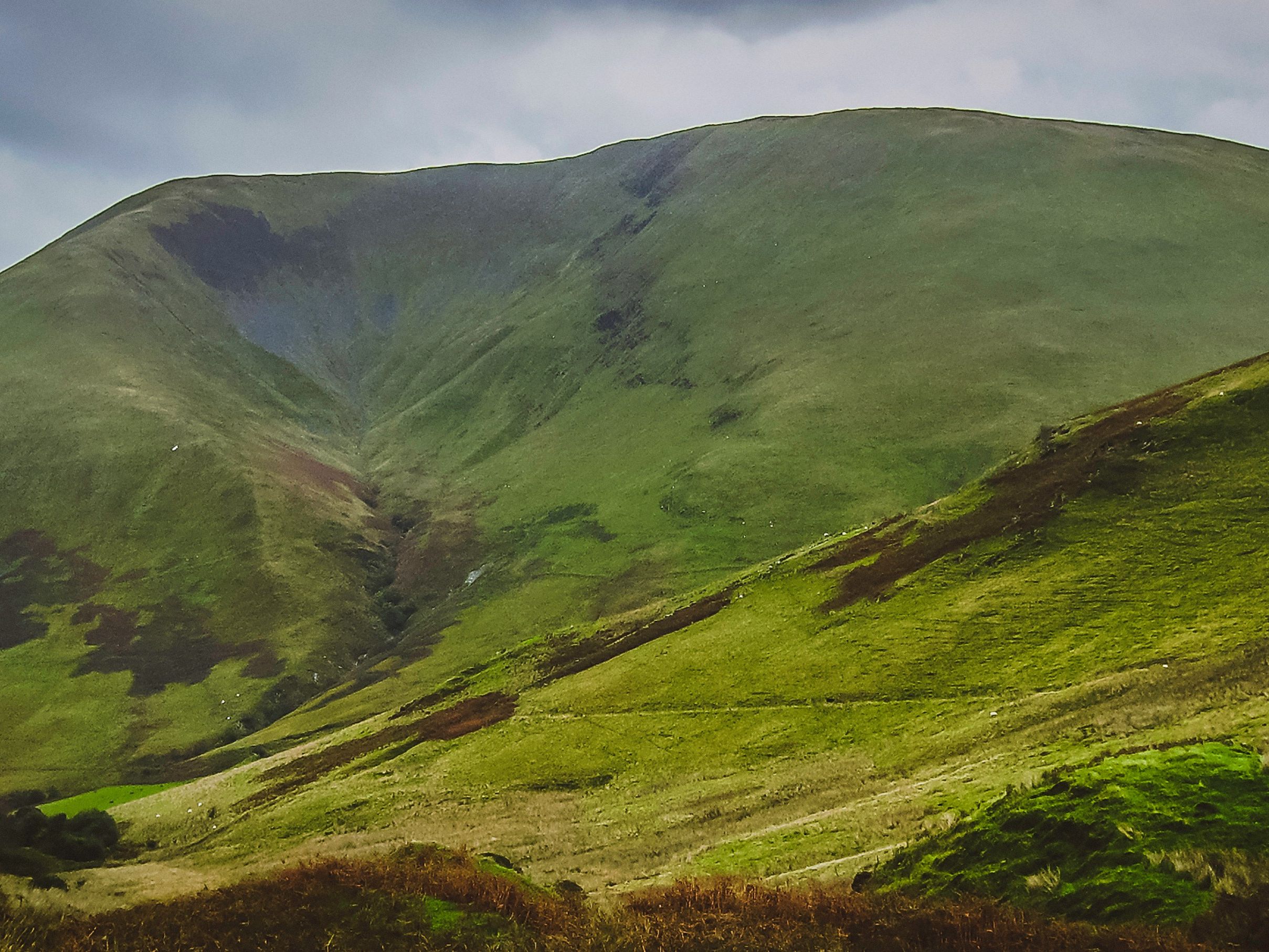 k-mitch-hodge-DFG_4qfxDN4-unsplash