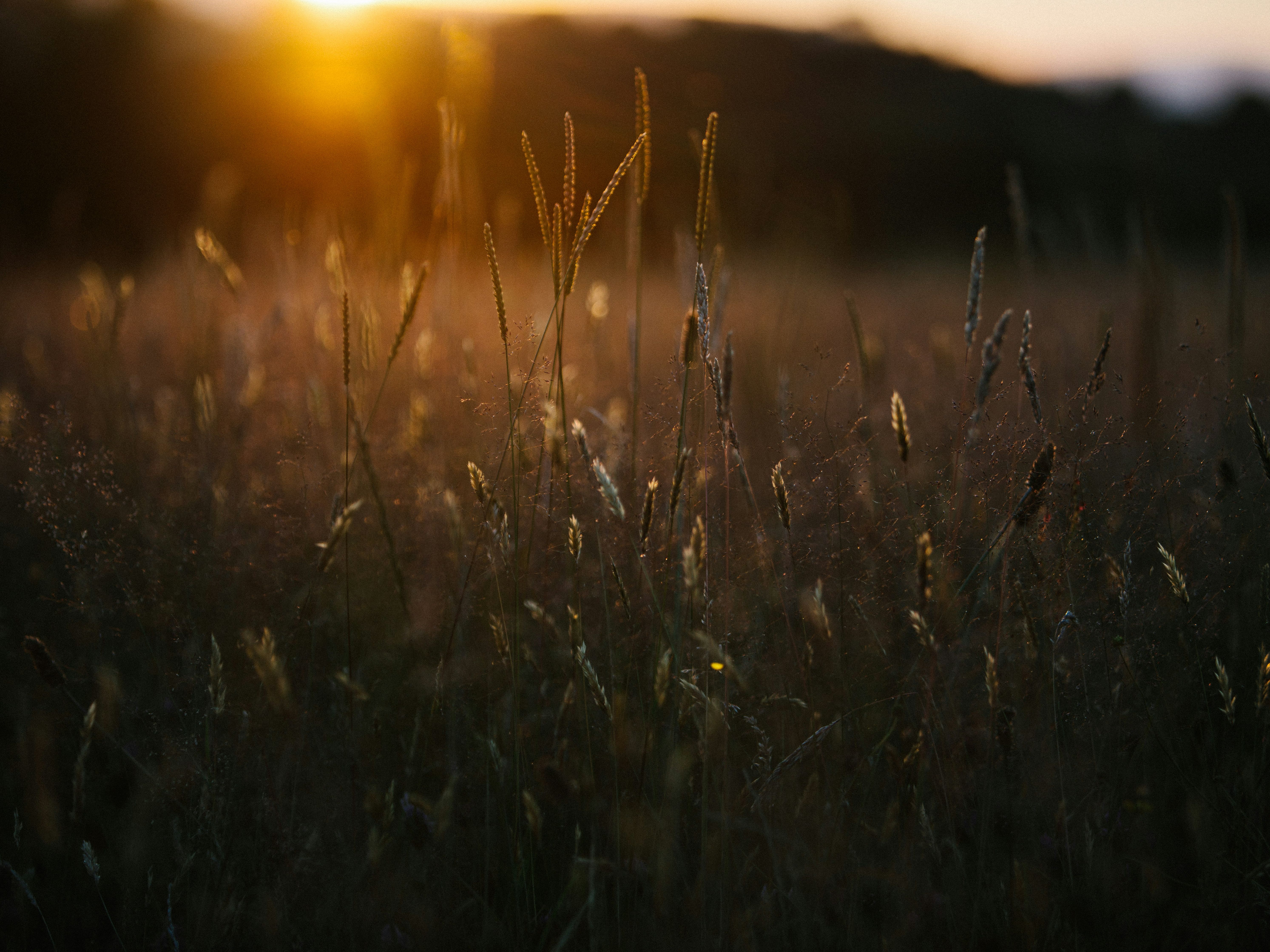 mike-erskine-mLEPzZ-XgPY-unsplash