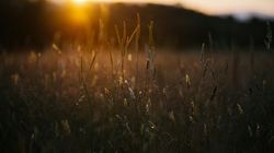 mike-erskine-mLEPzZ-XgPY-unsplash
