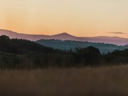 mike-erskine-Xzgp4rxvHqY-unsplash