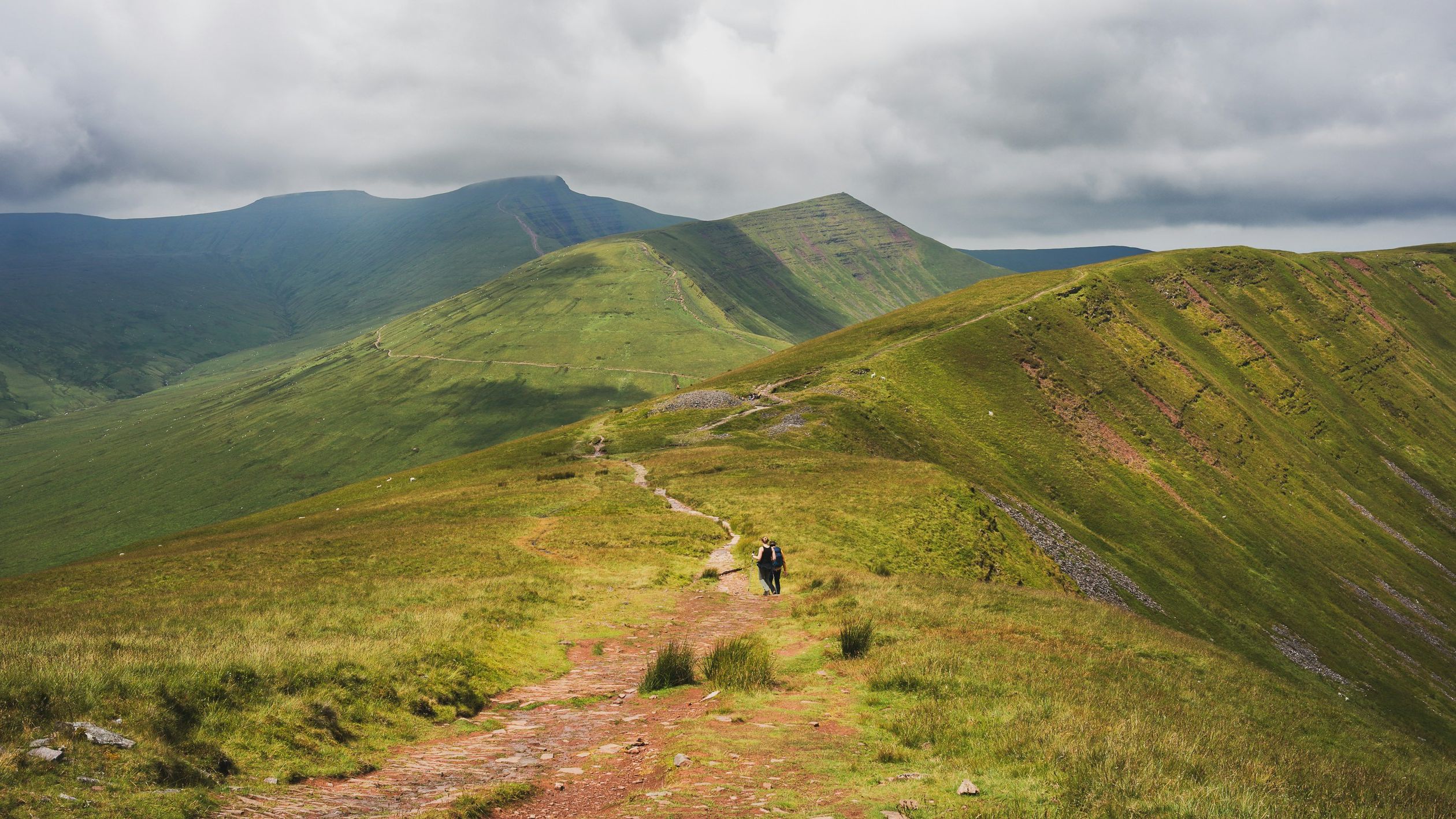 andrew-masters-oqG-vROLP2k-unsplash