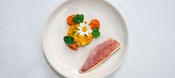 Plate of food neatly presented