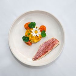 Plate of food neatly presented