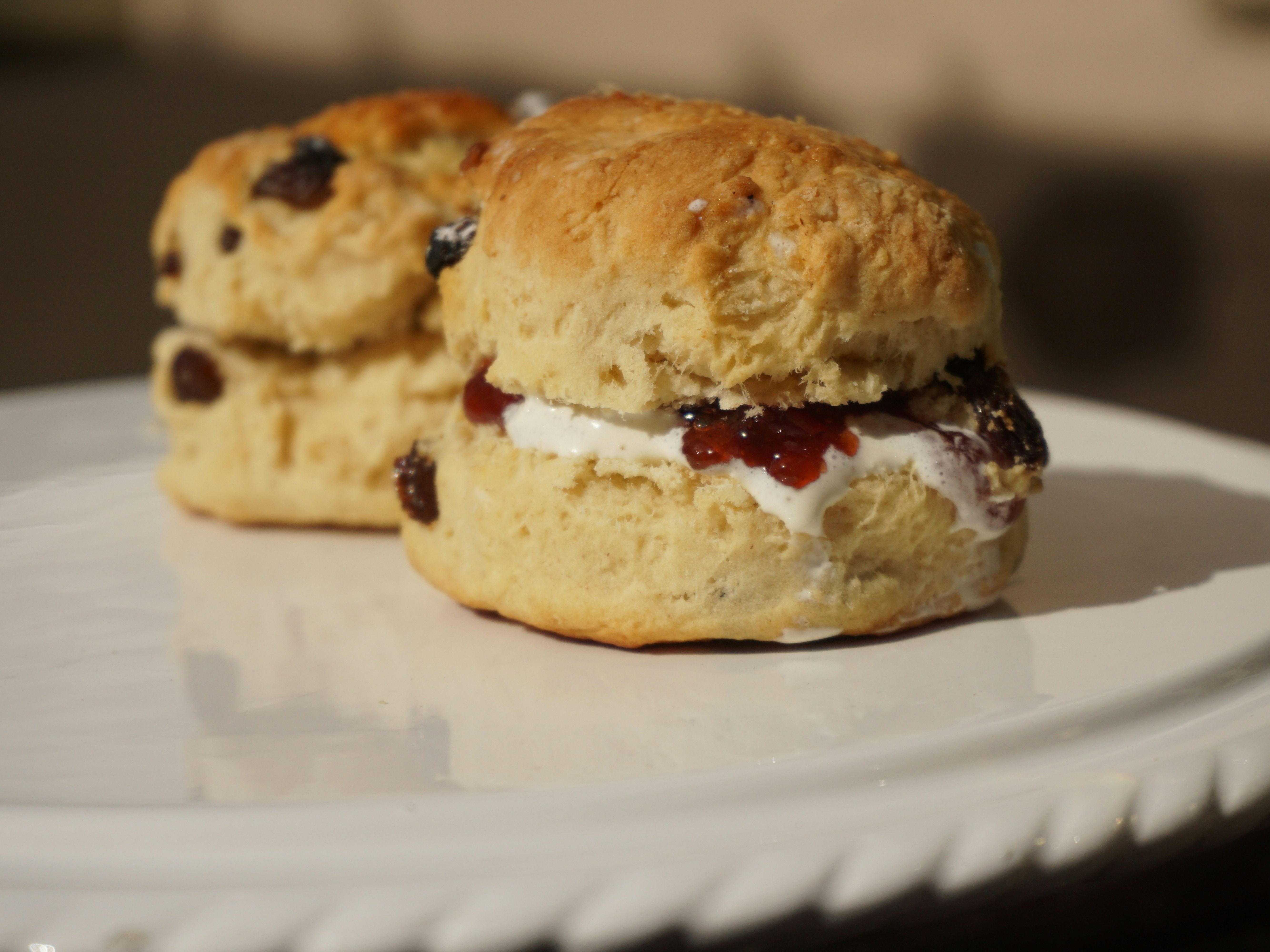 Close-up of two scones with clotted cream and jam on a white plate