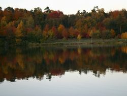 Autumn trees reflected in a calm lake