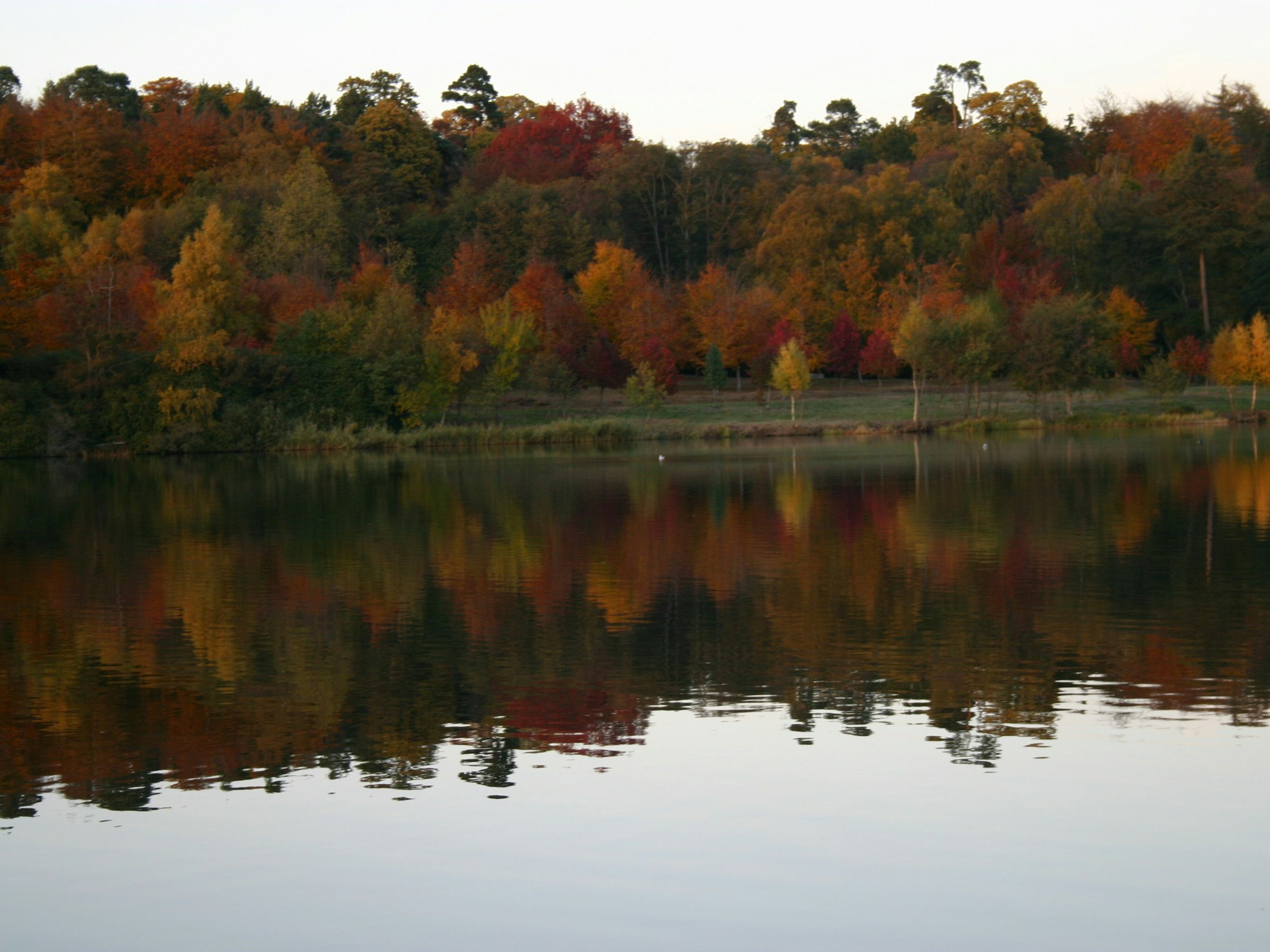Autumn trees reflected in a calm lake