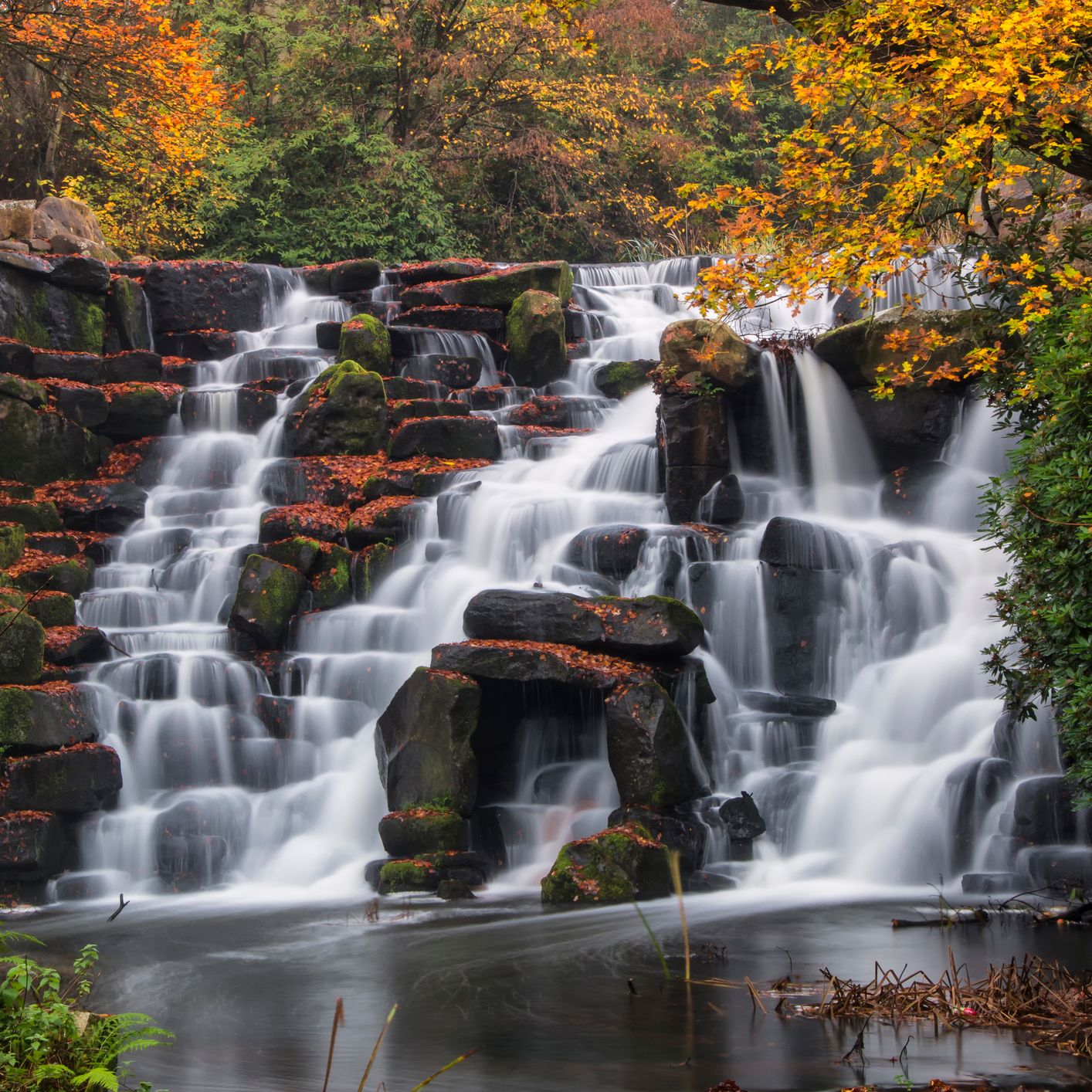 GettyImages-496262036