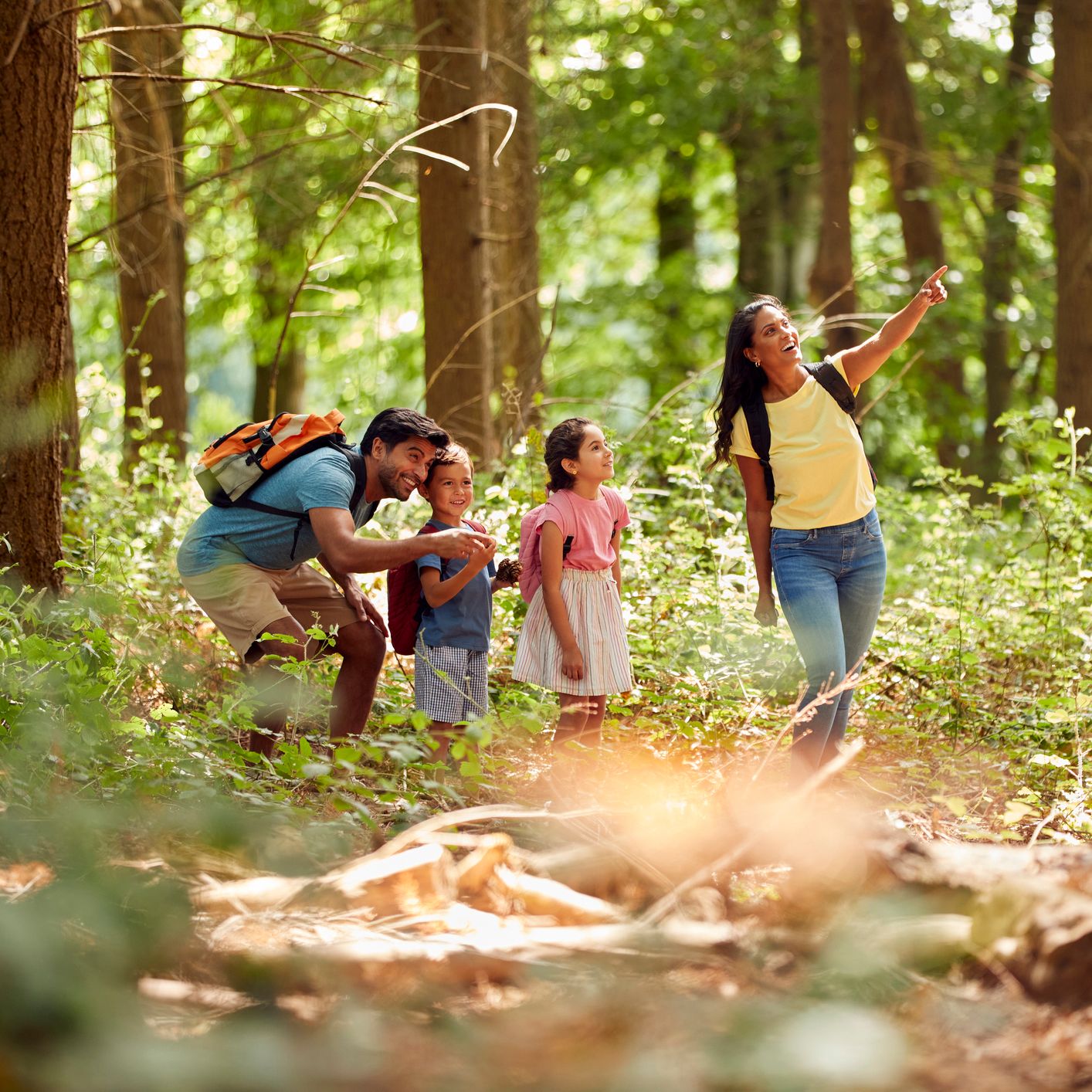 Family with two children hiking in a forest, mother pointing at something while father and kids watch.