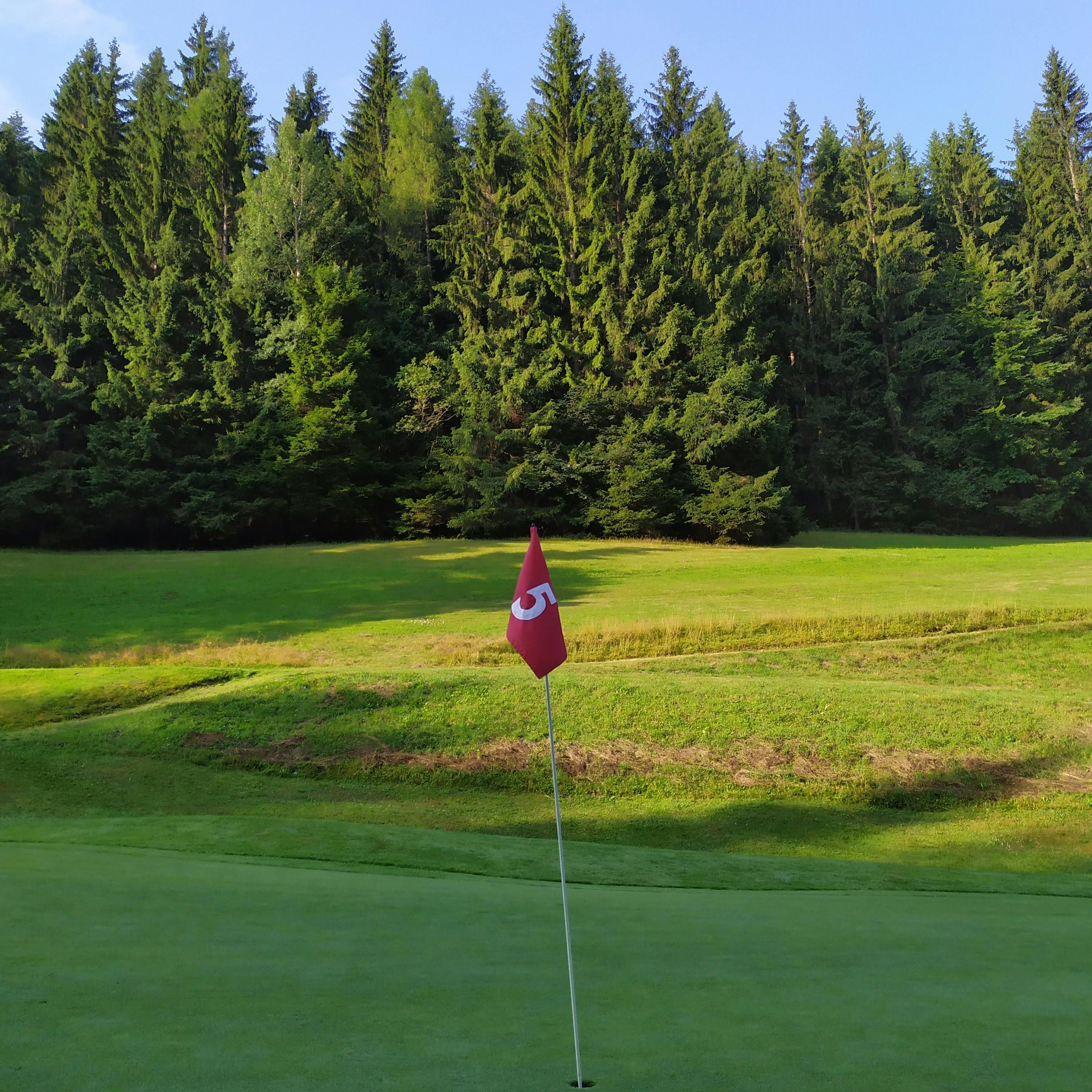 Golf flag on the green at hole number 5 with a backdrop of trees and blue sky