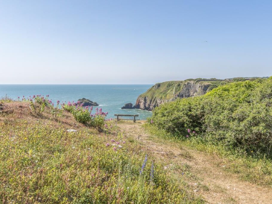 Coastal path leading to a bench overlooking sea cliffs and the ocean