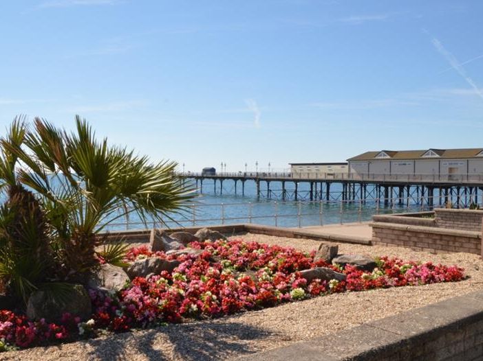 Flower bed and palm plants on Teignmouth seafront with a pier over the sea