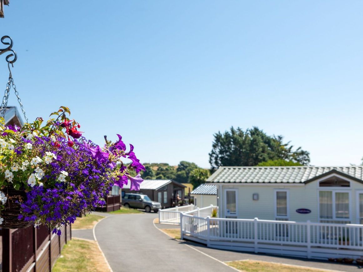 Hanging basket of purple and white flowers beside a sunny holiday park lane with caravans