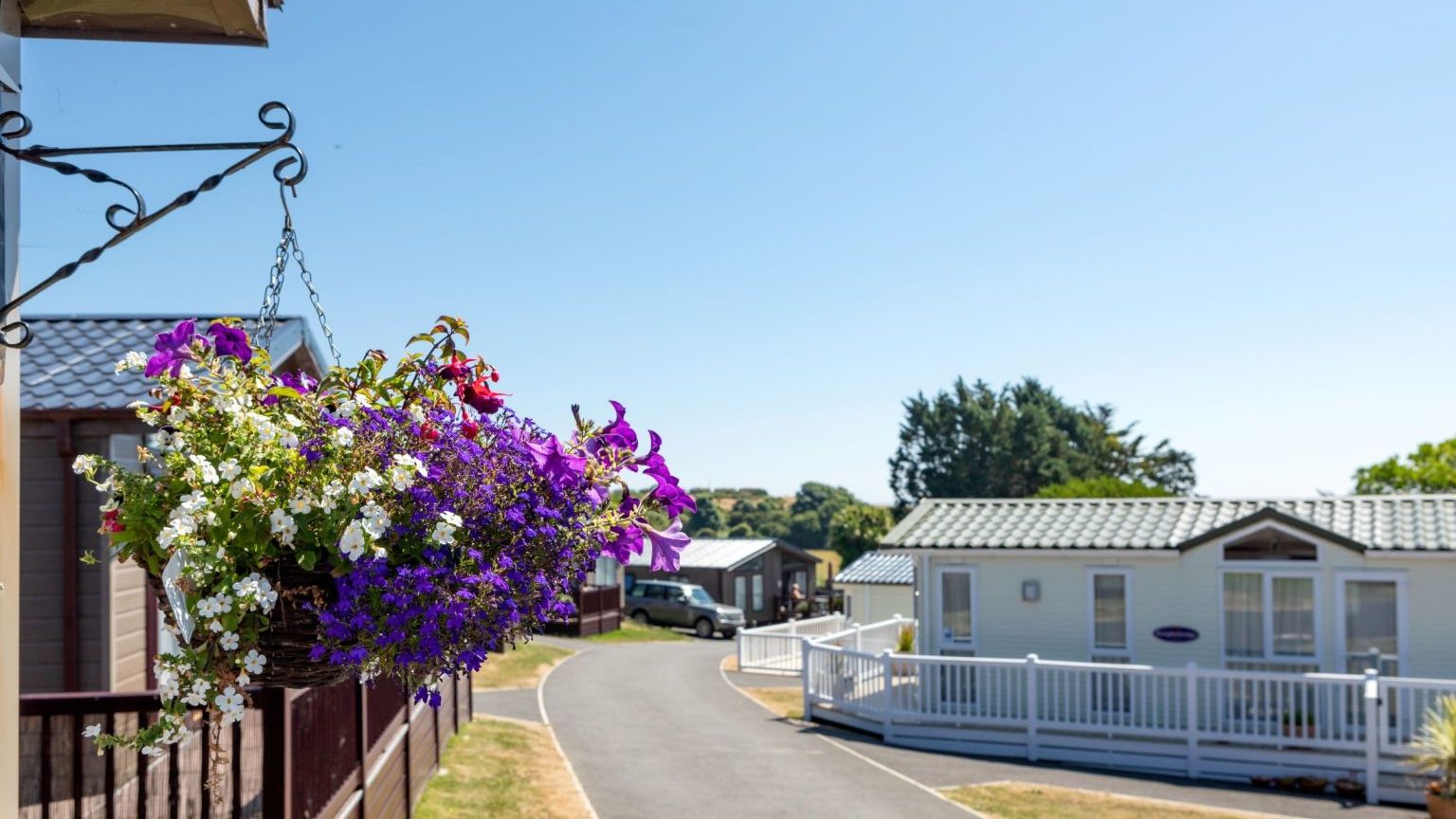 Hanging basket of purple and white flowers beside a sunny holiday park lane with caravans