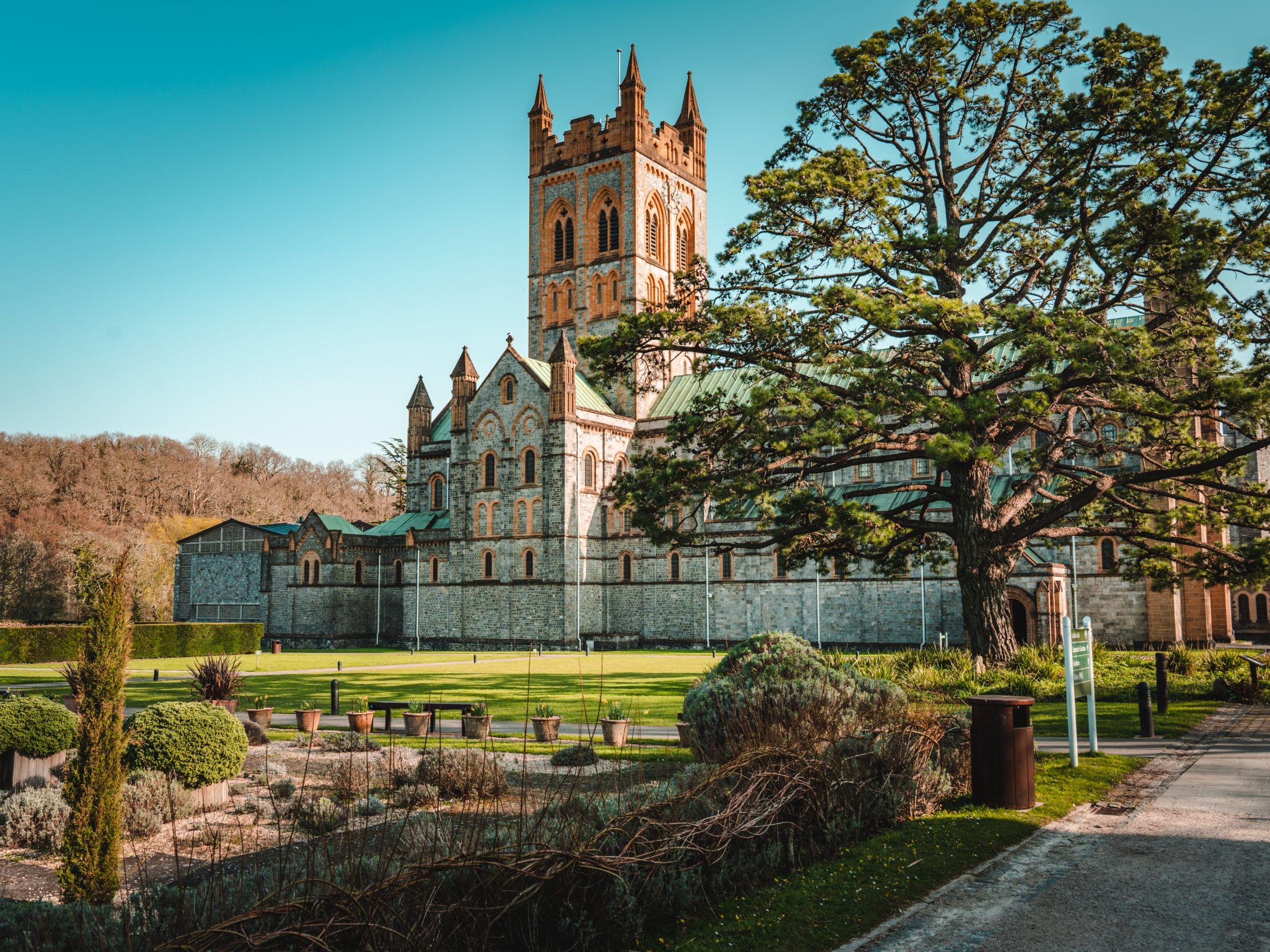 Stone abbey building with a tall tower beside a large tree on a sunny day