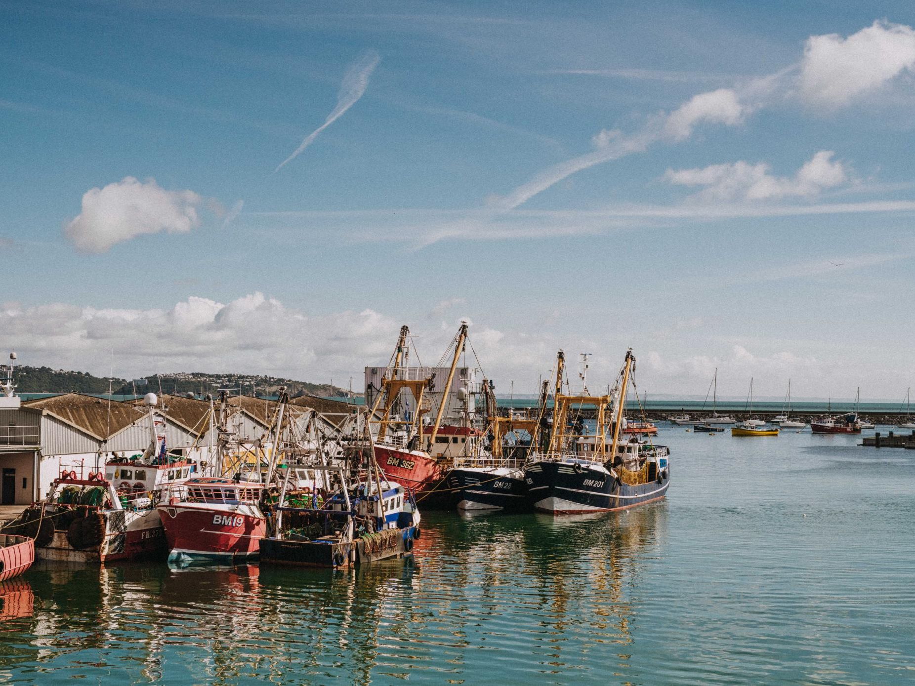 Fishing boats moored in a harbour with calm water under a blue sky