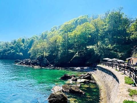 Sunny coastal cove with turquoise water, rocky shoreline and a waterside path with railings and café seating