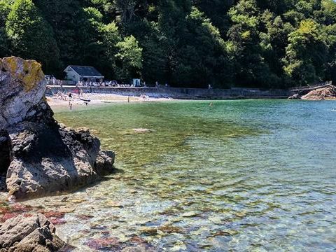Clear shallow sea by rocks at Babbacombe Beach with a small sandy cove and wooded hillside in the background