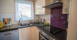 Clifftop Hot Tub Lodge (Sleeps 6) (14)