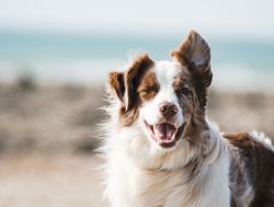 pauline-loroy-U3aF7hgUSrk-unsplash