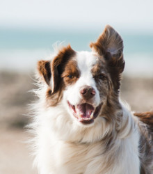 pauline-loroy-U3aF7hgUSrk-unsplash