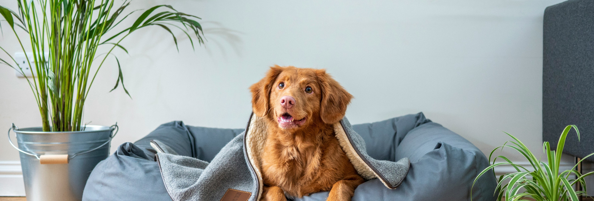 jamie-street-s9Tf1eBDFqw-unsplash