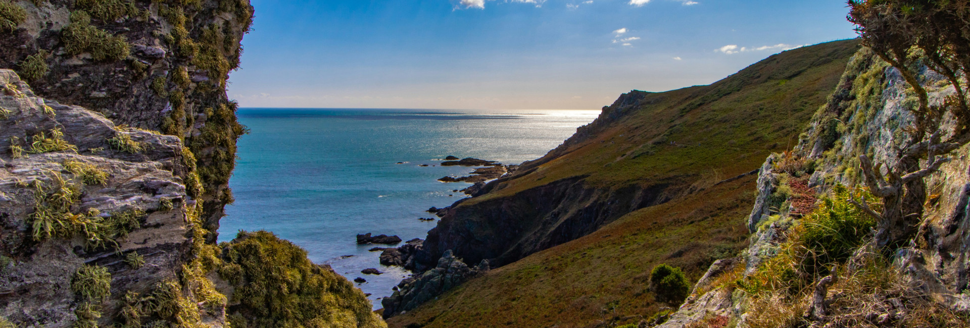 louis-tripp-VUmeH4CTZwI-unsplash (1)