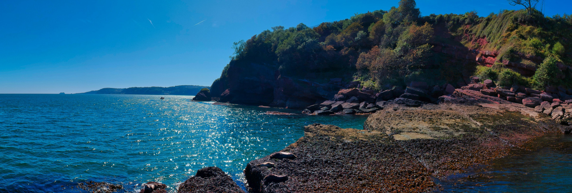 red-zeppelin-A2vTT_Rr8KA-unsplash (1)