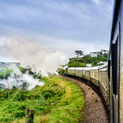 Dartmouth Steam Railway overlooking the beautiful Devon countryside