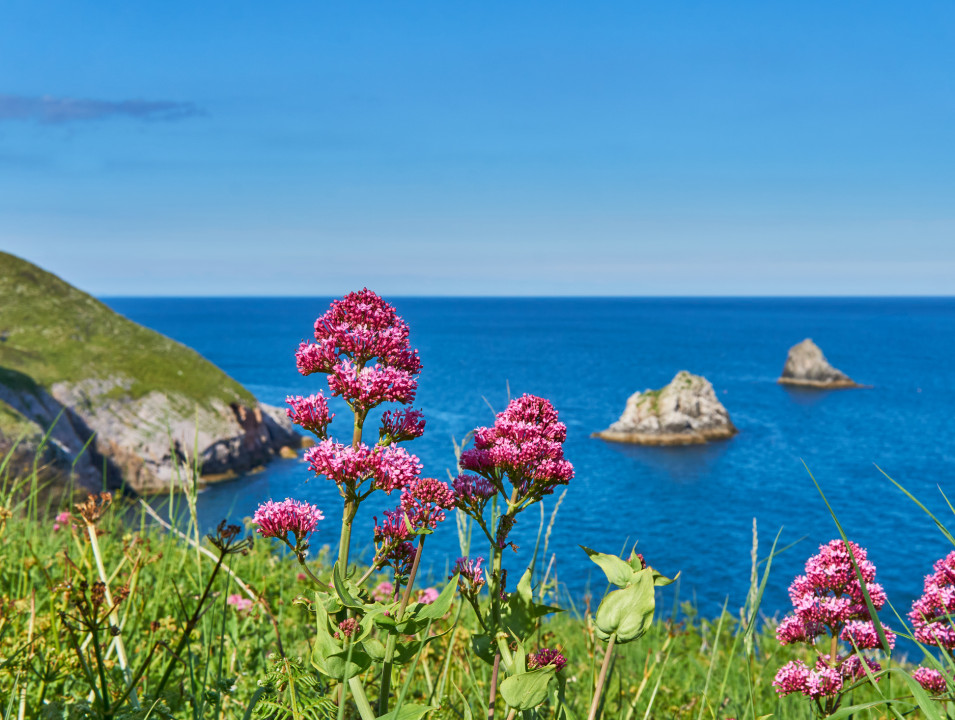 Brixham Beach, Devon