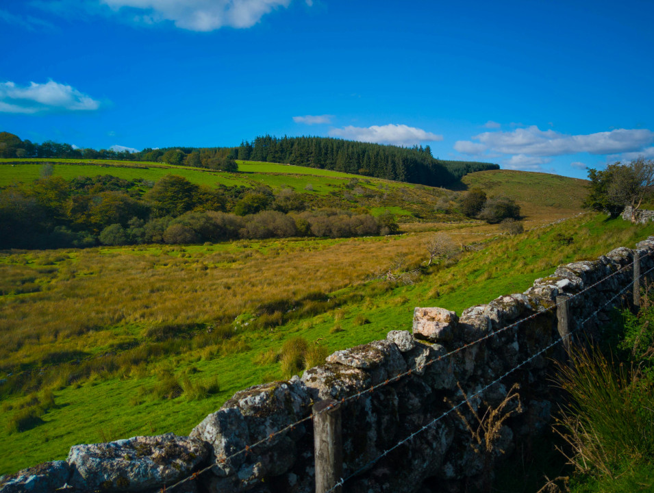 louis-tripp-zz5KRVJO7Wg-unsplash