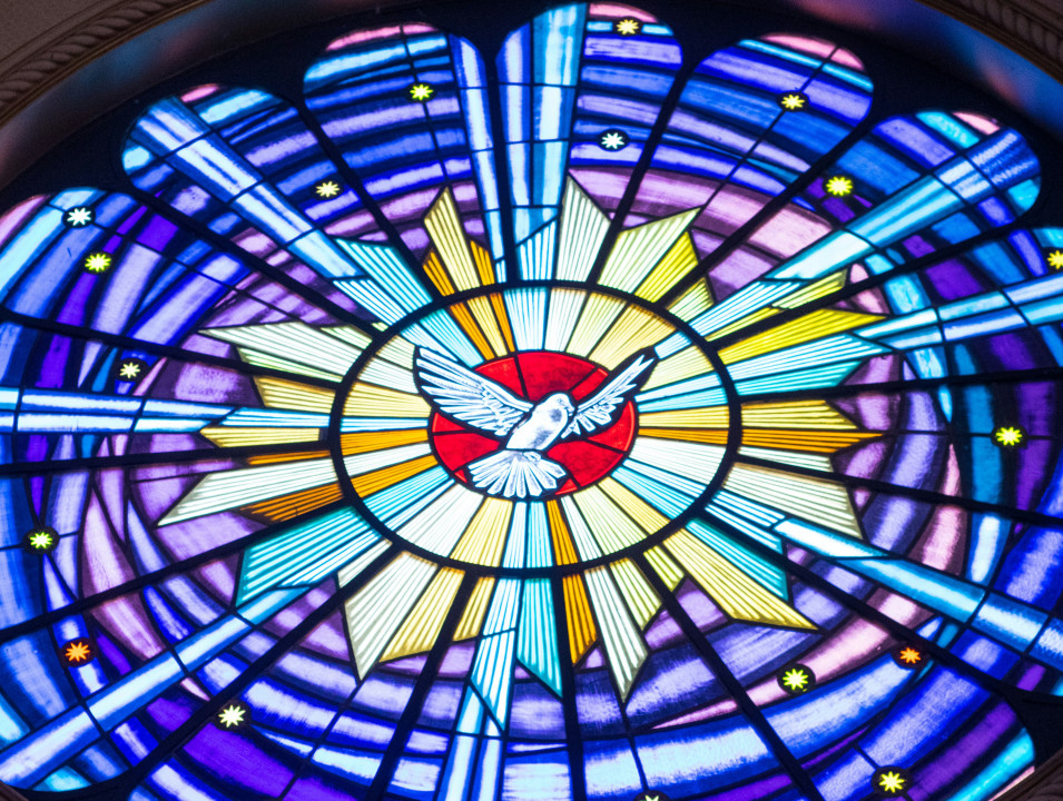 mateus-campos-felipe-yZu0dWSplXM-unsplash