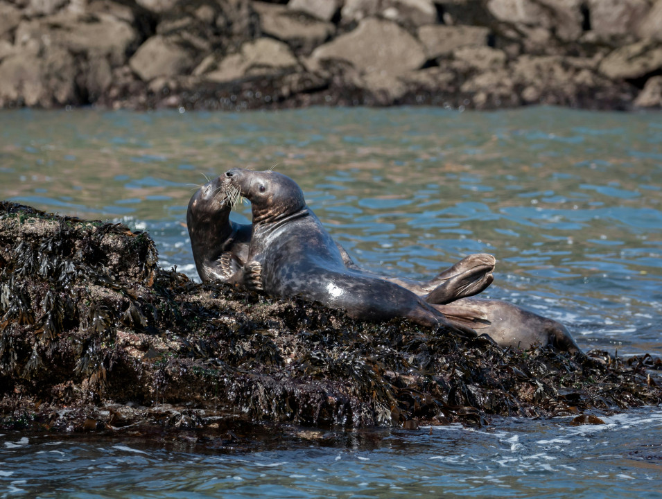 ray-harrington-Db2p6_xSKRA-unsplash