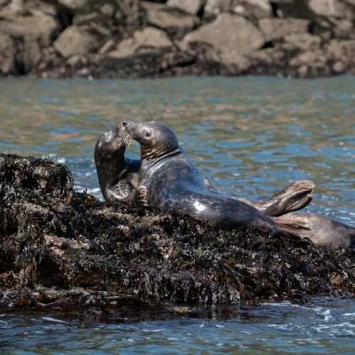 ray-harrington-Db2p6_xSKRA-unsplash