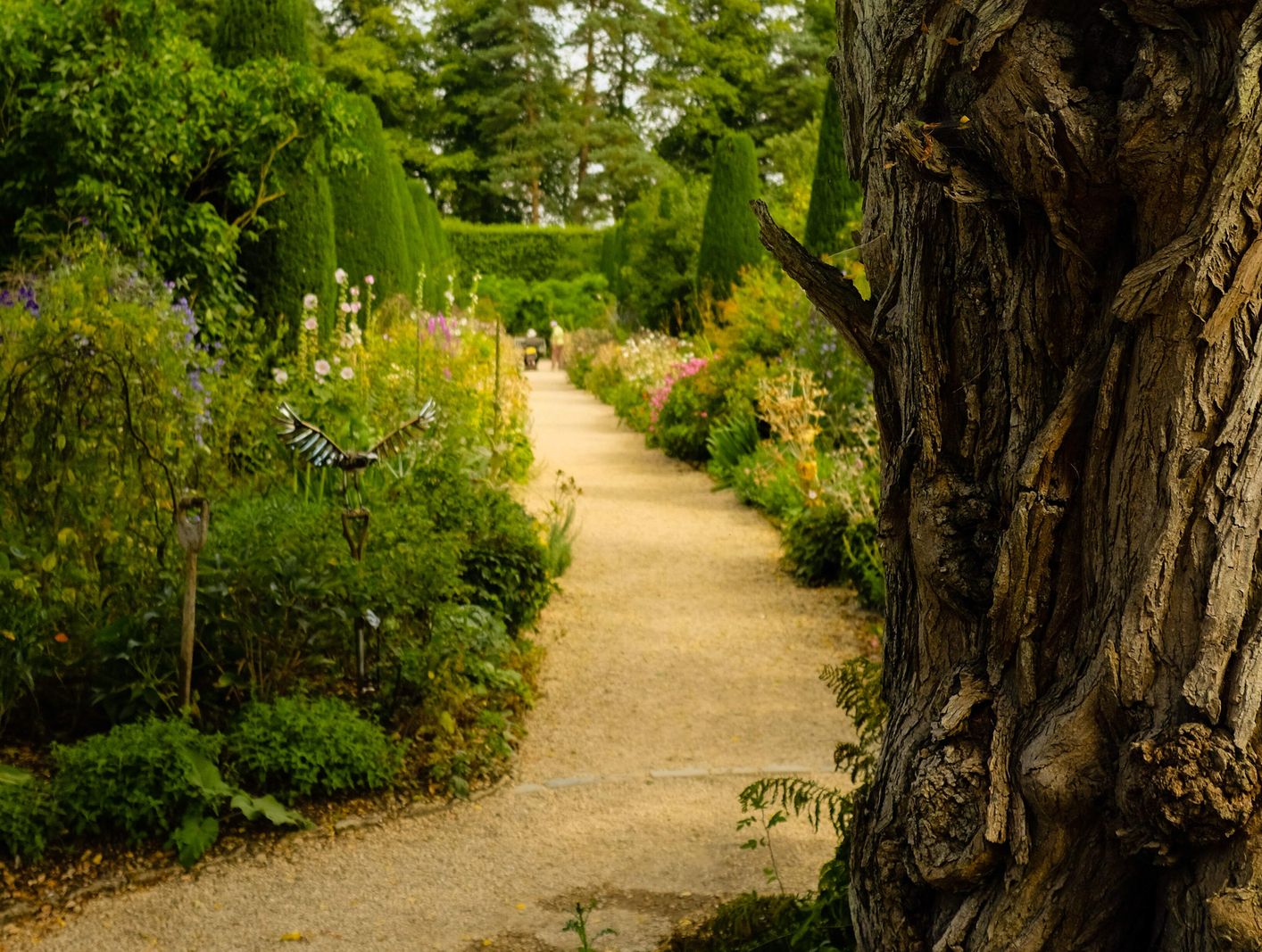 Garden path surrounded by green plants and flowers, with a tree trunk dominating the right.