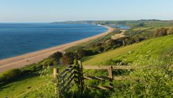 Slapton Sands featuring a long stretch of sandy beach, calm blue waters, and green rolling hills. A wooden fence in the foreground overlooks the scenic landscape under a clear sky.