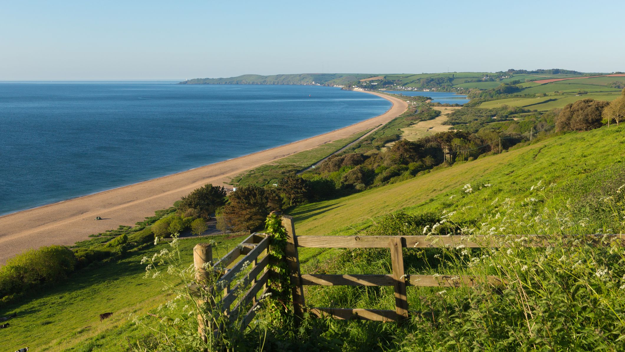 Slapton Sands featuring a long stretch of sandy beach, calm blue waters, and green rolling hills. A wooden fence in the foreground overlooks the scenic landscape under a clear sky.