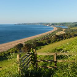 Slapton Sands featuring a long stretch of sandy beach, calm blue waters, and green rolling hills. A wooden fence in the foreground overlooks the scenic landscape under a clear sky.
