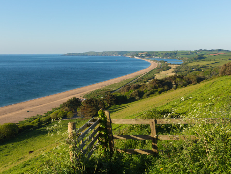 Slapton Sands featuring a long stretch of sandy beach, calm blue waters, and green rolling hills. A wooden fence in the foreground overlooks the scenic landscape under a clear sky.