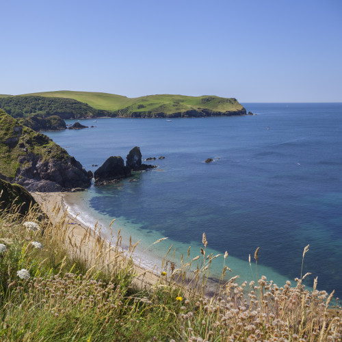 A serene coastal view with steep grassy cliffs overlooking a sandy beach and clear blue waters. Wildflowers bloom in the foreground, while distant hills stretch out under a bright sky.