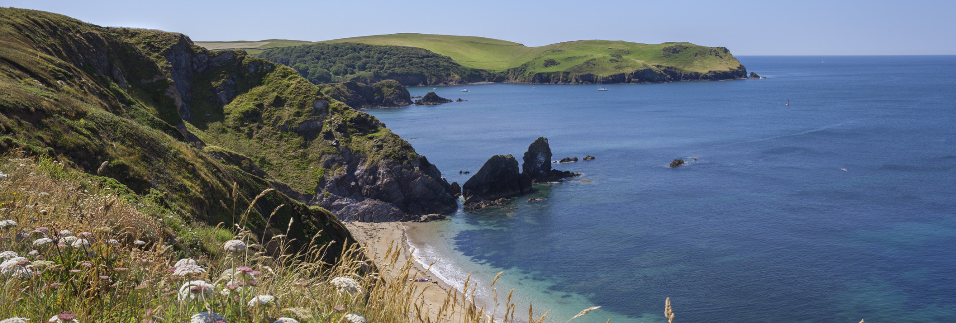 A serene coastal view with steep grassy cliffs overlooking a sandy beach and clear blue waters. Wildflowers bloom in the foreground, while distant hills stretch out under a bright sky.
