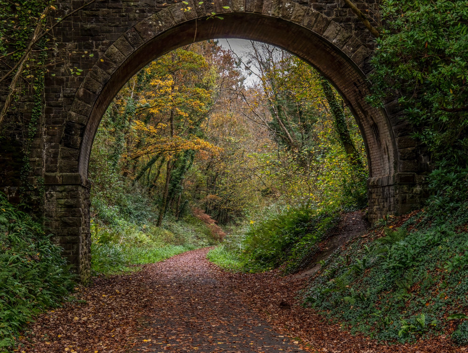 A path covered in fallen leaves winds under a stone archway, framed by dense, colorful autumn foliage in a tranquil woodland setting.