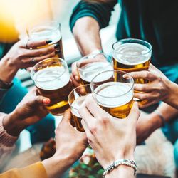 A group of friends raising glasses of beer in a cheerful toast, highlighting the social atmosphere often found in pubs in South Devon. The scene captures warmth and camaraderie.