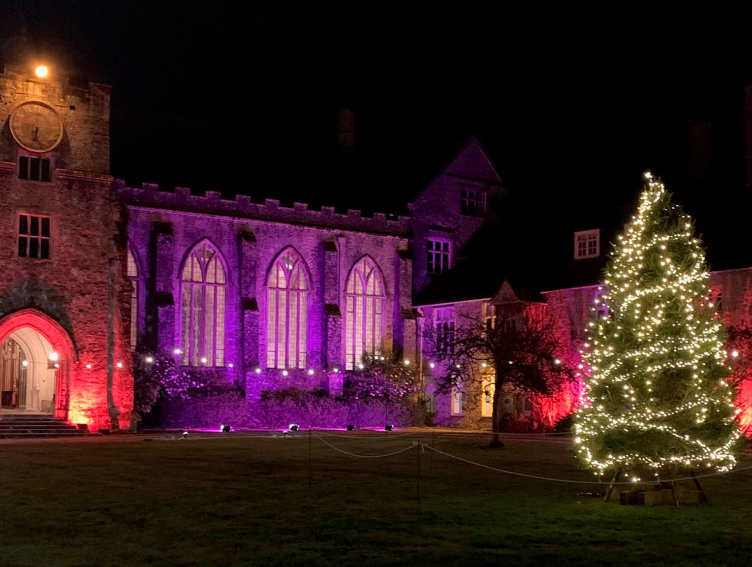 A historic building illuminated in purple and red lights with a sparkling Christmas tree in the foreground, creating a festive atmosphere at Christmas markets in Devon.