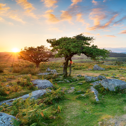 The best Dartmoor National Park walks for families
