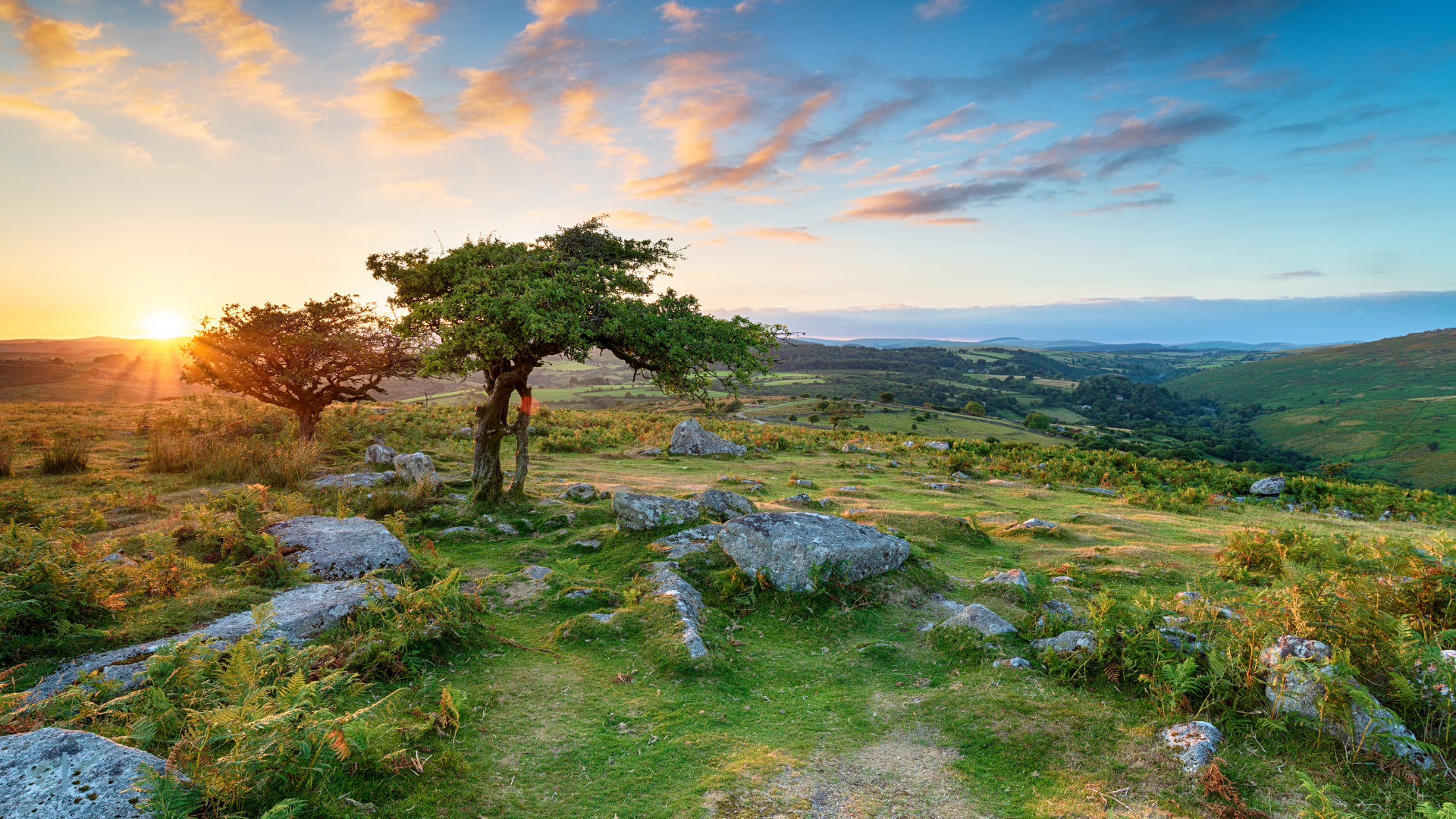 The best Dartmoor National Park walks for families
