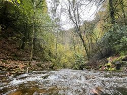 Lydford Gorge