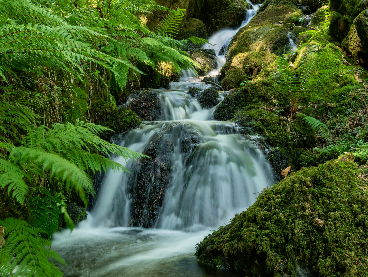 Canonteign Falls