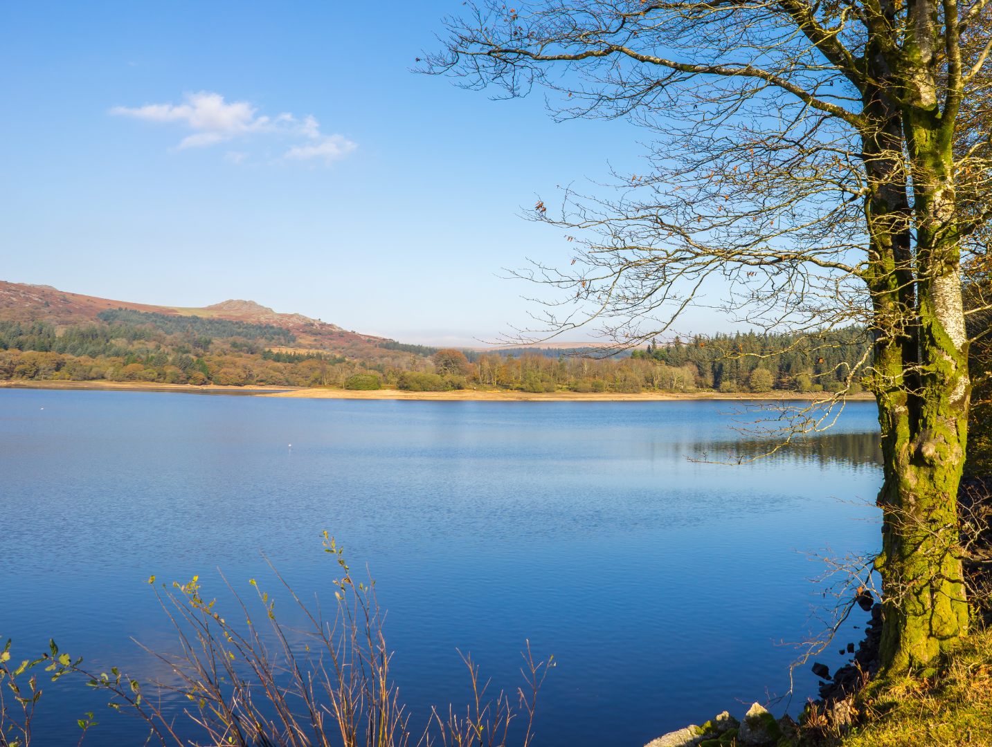 Fernworthy Reservoir