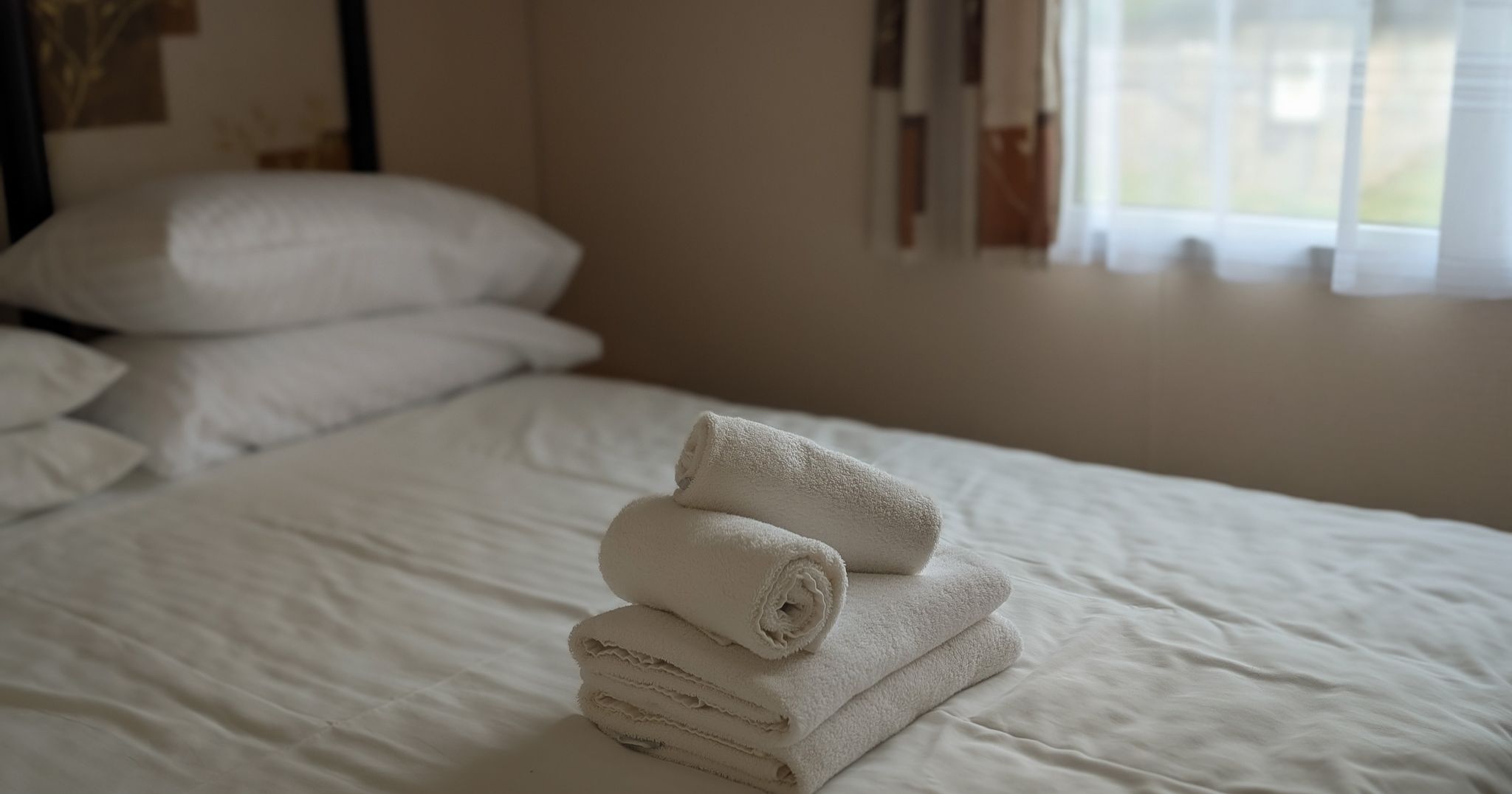 PXL_20250621_092541587.PORTRAIT